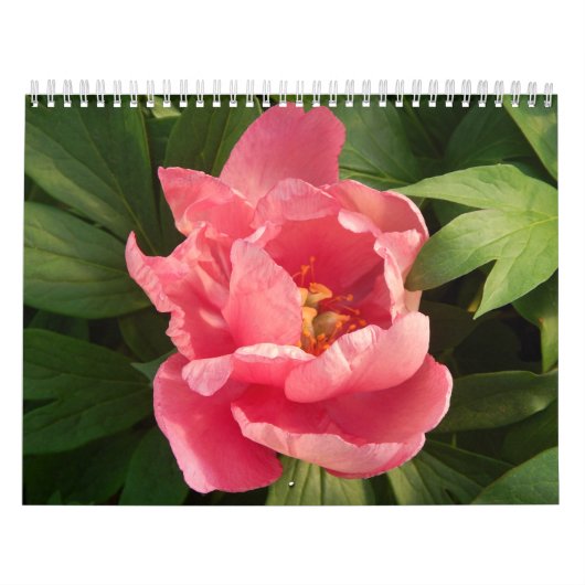 Calendarioの詐欺のfotografía deフローレス島en色 カレンダー (カバー)