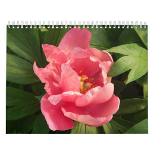 Calendarioの詐欺のfotografía deフローレス島en色 カレンダー