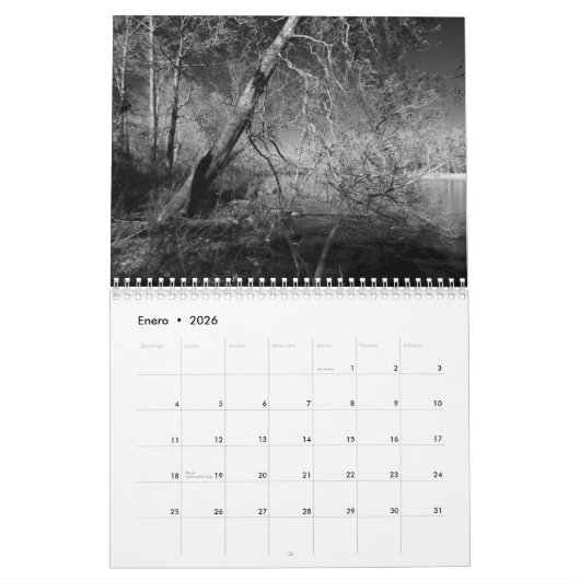 Calendarioの詐欺のfotografía enはyの黒人に白色塗料を塗ります カレンダー (1月 2026)