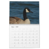 Calendarioの詐欺のfotos de patos yのgansos en色 カレンダー (1月 2027)