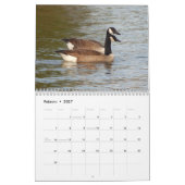 Calendarioの詐欺のfotos de patos yのgansos en色 カレンダー (2月 2027)