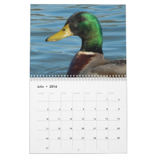 Calendarioの詐欺のfotos de patos yのgansos en色 カレンダー