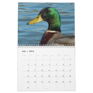 Calendarioの詐欺のfotos de patos yのgansos en色 カレンダー