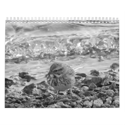 Calendarioの詐欺師fotos de pajaross enはyの黒人に白色塗料を塗ります カレンダー (カバー)
