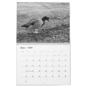 Calendarioの詐欺師fotos de pajaross enはyの黒人に白色塗料を塗ります カレンダー (1月 2027)
