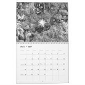 Calendarioの詐欺師fotos de pajaross enはyの黒人に白色塗料を塗ります カレンダー (3月 2027)
