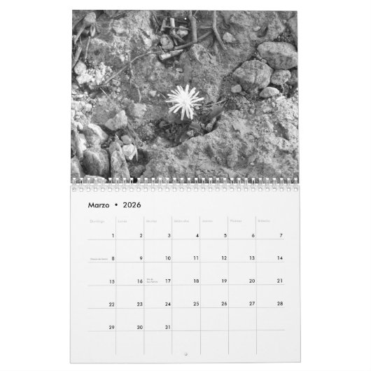 Calendarioの詐欺師fotos de pajaross enはyの黒人に白色塗料を塗ります カレンダー (3月 2026)