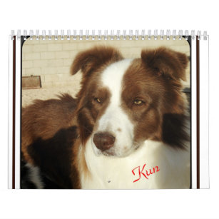 ボーダー コリー 犬カレンダー 壁掛けカレンダー Zazzle Co Jp