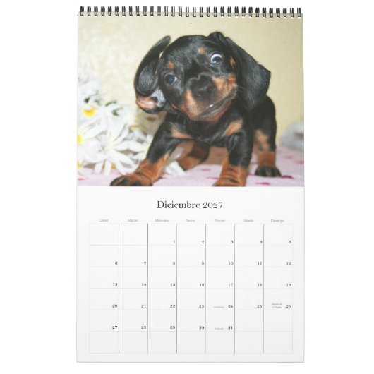Calendario 2017 Puppy Dachshunds カレンダー (12月 2027)