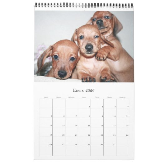 Calendario 2017 Puppy Dachshunds カレンダー (1月 2026)