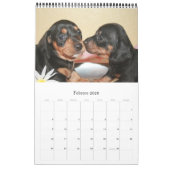 Calendario 2017 Puppy Dachshunds カレンダー (2月 2026)
