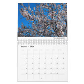 Calendario de Mallorca 2022 カレンダー (2月 2026)