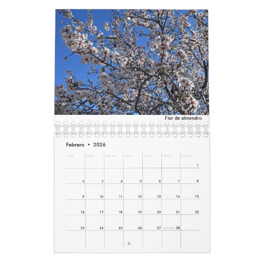 Calendario de Mallorca 2022 カレンダー (2月 2026)