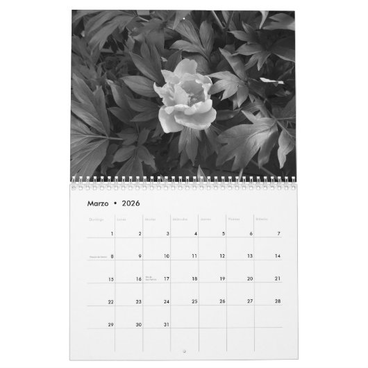 Calendario fotos de naturaleza enはyの黒人に白色塗料を塗ります カレンダー (3月 2026)