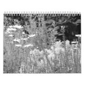 Calendario fotos de naturaleza enはyの黒人に白色塗料を塗ります カレンダー (カバー)