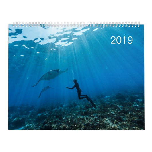 Calendrier 2019 - Sous la surface de l'océan カレンダー (カバー)
