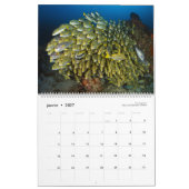 Calendrier 2019 - Sous la surface de l'océan カレンダー (1月 2027)