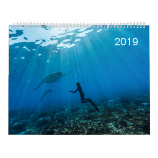 Calendrier 2019 - Sous la surface de l'océan カレンダー