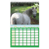 Calendrier 2024 chevaux France カレンダー (3月 2027)