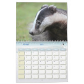 Calendrier Blaireaux Calendar Badgers Forêt Forest カレンダー (2月 2027)
