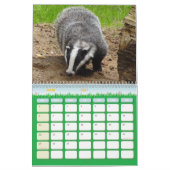 Calendrier Blaireaux Calendar Badgers Forêt Forest カレンダー (3月 2027)
