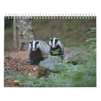 Calendrier Blaireaux Calendar Badgers Forêt Forest カレンダー