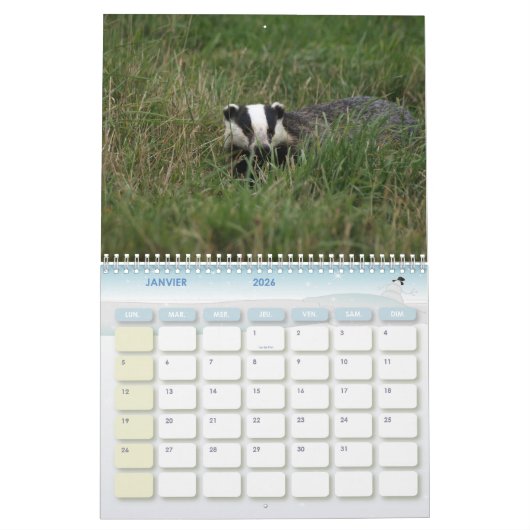 Calendrier Blaireaux Calendar Badgers Forêt Forest カレンダー (1月 2026)