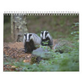 Calendrier Blaireaux Calendar Badgers Forêt Forest カレンダー (カバー)