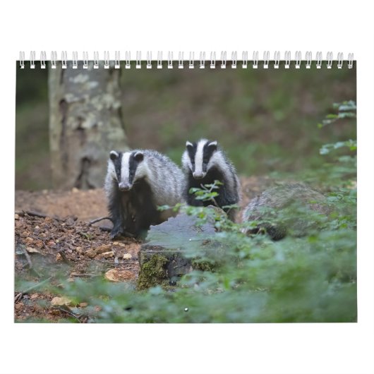Calendrier Blaireaux Calendar Badgers Forêt Forest カレンダー (カバー)