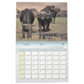 Calendrier Buffle Calendar Buffalo Animal カレンダー (1月 2027)