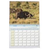 Calendrier Buffle Calendar Buffalo Animal カレンダー (2月 2027)