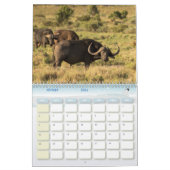 Calendrier Buffle Calendar Buffalo Animal カレンダー (2月 2026)