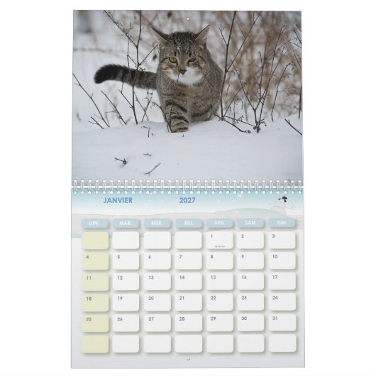 Calendrier Chat カレンダー (1月 2027)
