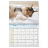 Calendrier Chat  カレンダー (2月 2027)