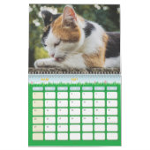 Calendrier Chat  カレンダー (3月 2027)