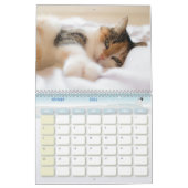 Calendrier Chat  カレンダー (2月 2026)