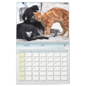 Calendrier chien et chat カレンダー (2月 2027)