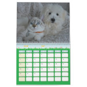 Calendrier chien et chat カレンダー (3月 2027)