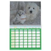Calendrier chien et chat カレンダー (3月 2026)