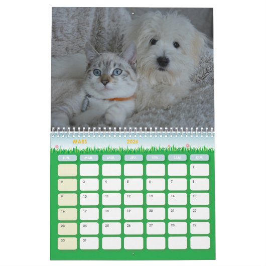 Calendrier chien et chat カレンダー (3月 2026)