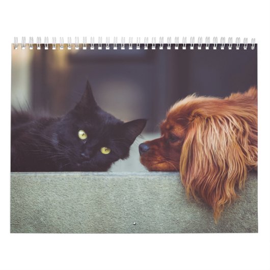Calendrier chien et chat カレンダー (カバー)