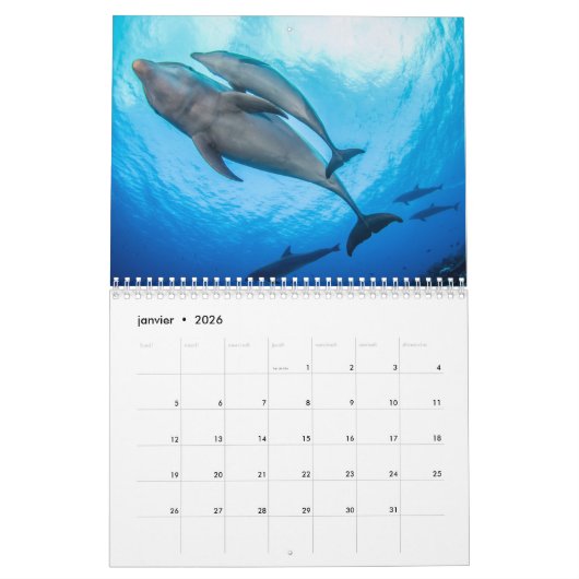 Calendrier des Dauphins カレンダー (1月 2026)