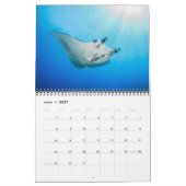 Calendrier des Requins et des Raies カレンダー (3月 2027)