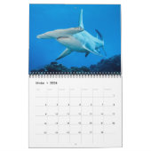Calendrier des Requins et des Raies カレンダー (2月 2026)