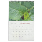 Calendrier Dieu méditation photos jardin élégant カレンダー (3月 2027)