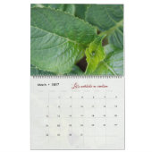 Calendrier Dieu méditation photos jardin élégant カレンダー (3月 2027)