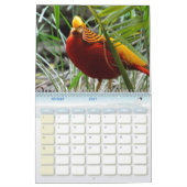 Calendrier Faisan, Calendar Pheasant カレンダー (2月 2027)