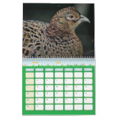 Calendrier Faisan, Calendar Pheasant カレンダー (3月 2026)
