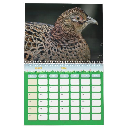 Calendrier Faisan, Calendar Pheasant カレンダー (3月 2026)