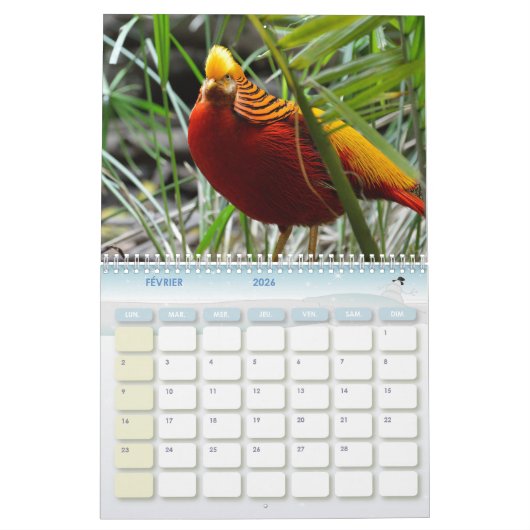 Calendrier Faisan, Calendar Pheasant カレンダー (2月 2026)